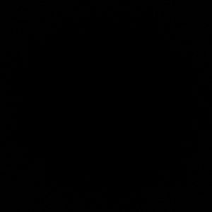 Meet your Posher, Harsh